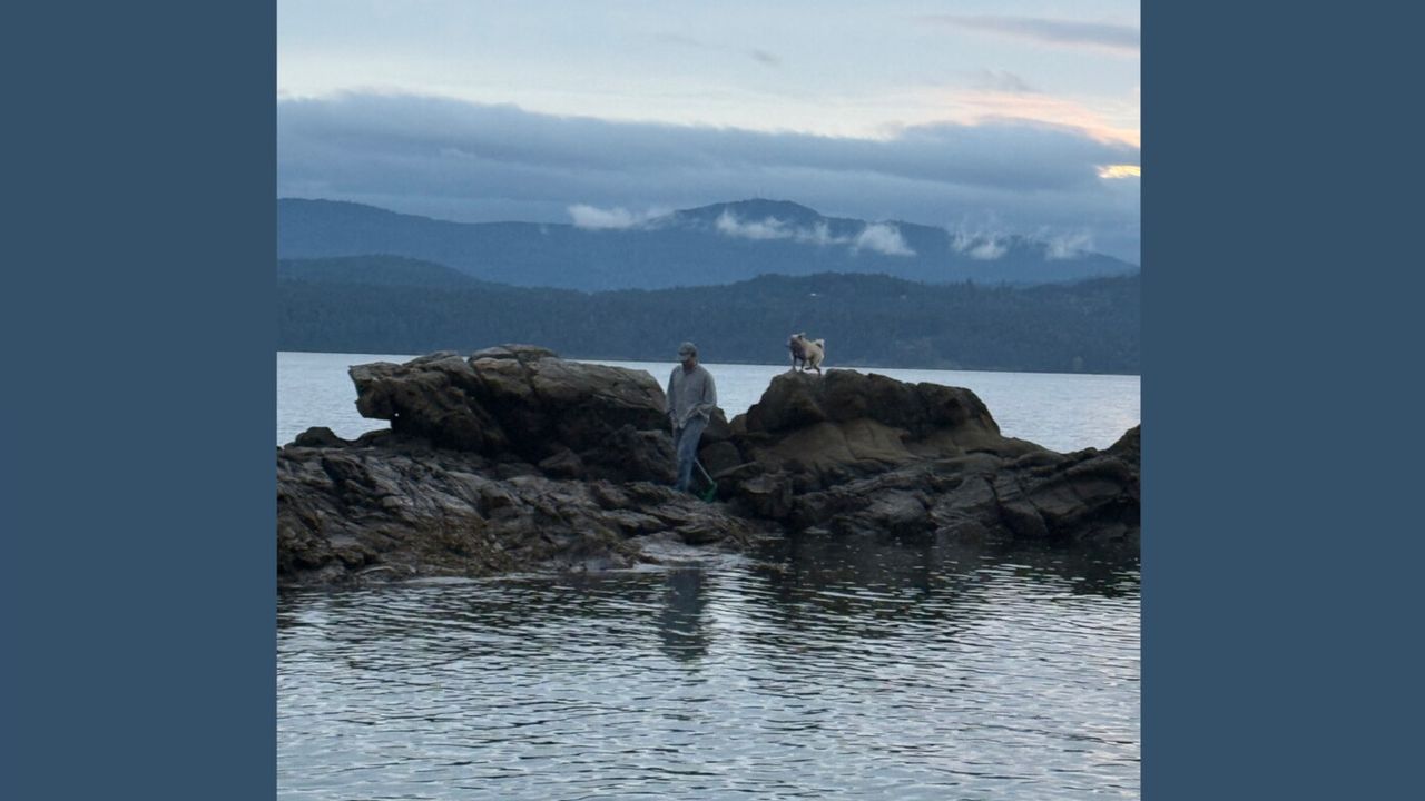 Mac DeMarco: Dog on the Rock / Seven Off the Two / Seaplane Dog / The View from Tian Tan Album Review