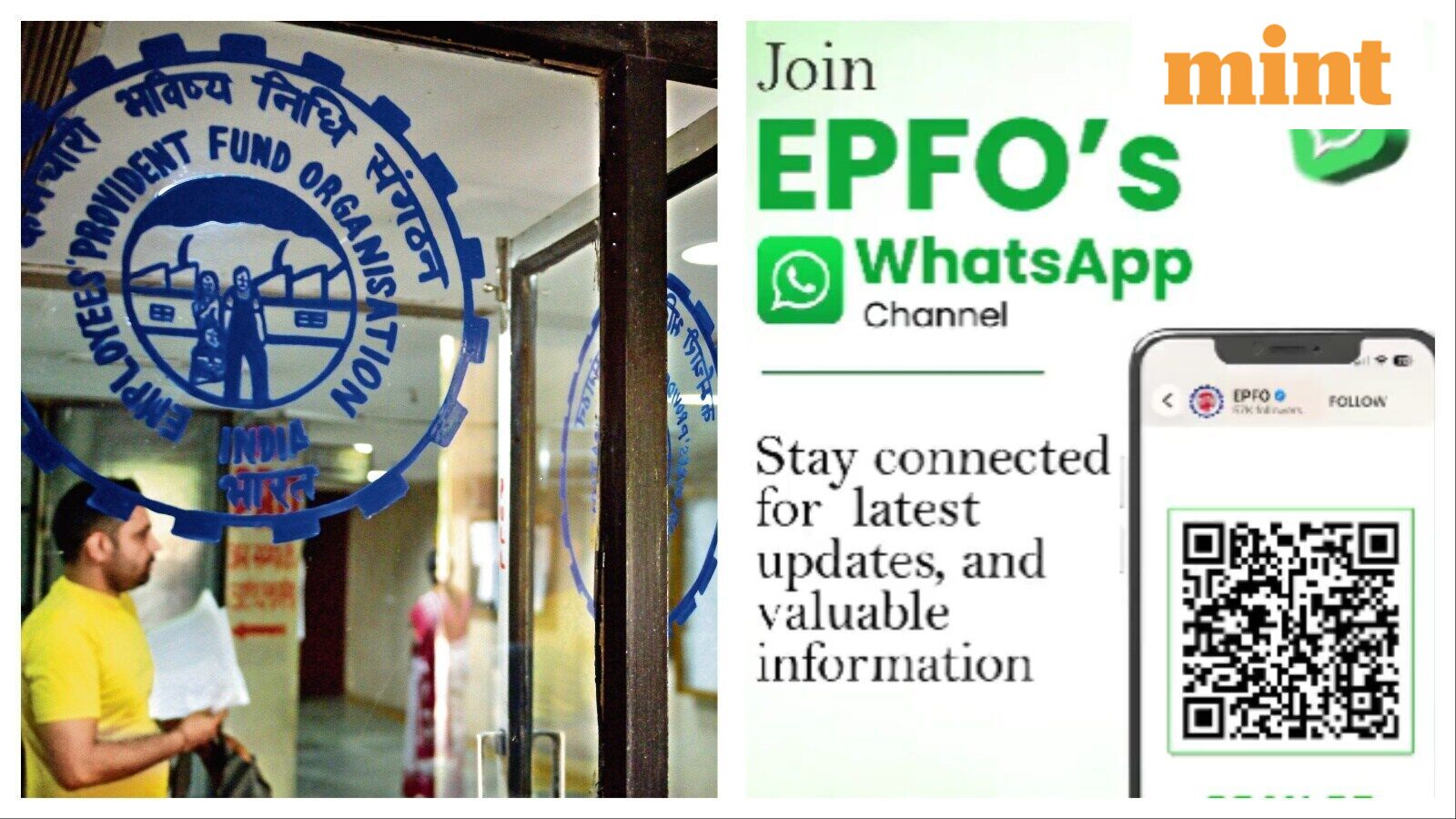 EPFO WhatsApp channel join guide: How to follow it and what PF members get