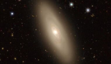 The Seyfert galaxy NGC 1386 was part of a study of such galaxies that explored the actions of the central supermassive black hole and its effects on star formation in nearby regions. Credit: DESI Legacy Survey.
