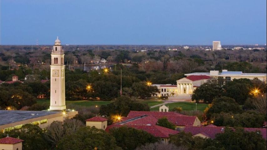 LSU unveils 2026 list of 100 LSU graduate-owned, led businesses