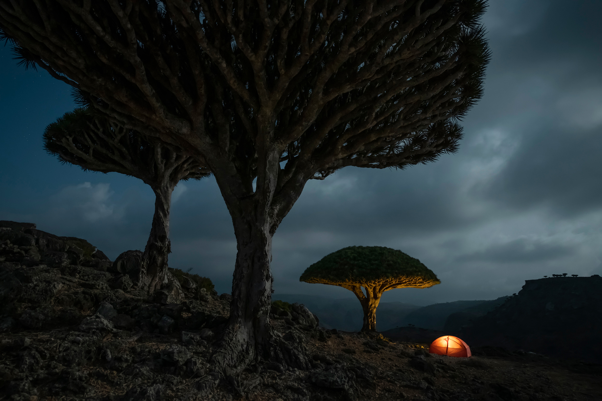 Nighttime scene of glowing orange tent under a uniquely shaped tree with large, dark trees and cloudy sky in rocky landscape