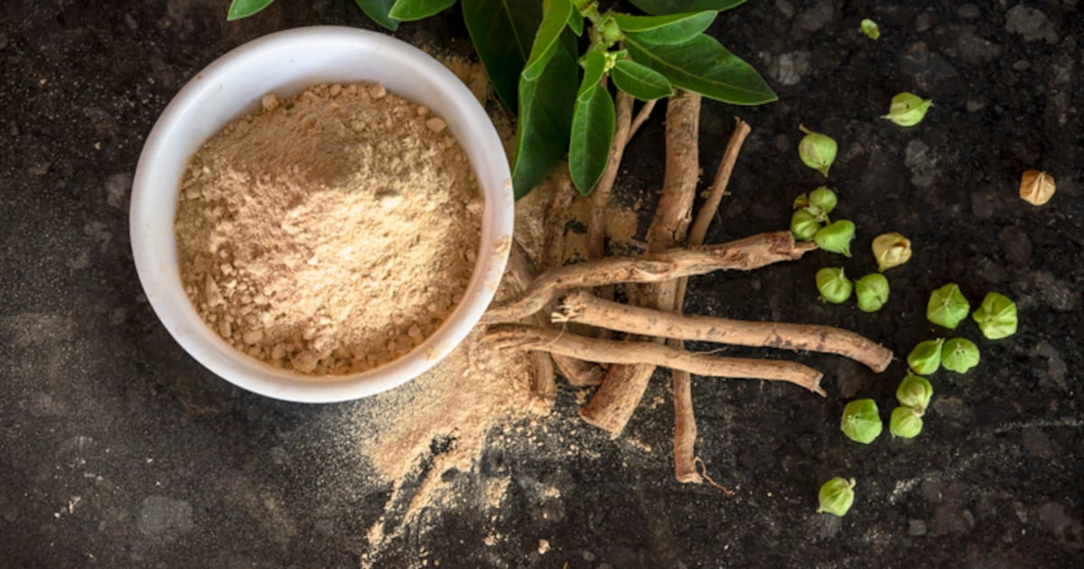 Study finds KSM-66 ashwagandha root extract safe in sample of more than 1,000 adults