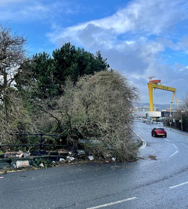 A fallen tree and collapsed wall partially obstruct Dee Street in east Belfast after Storm Isha passed through the area. Picture date: Monday January 22, 2024. PA Photo. See PA story WEATHER Isha. Photo credit should read: David Young/PA Wire
