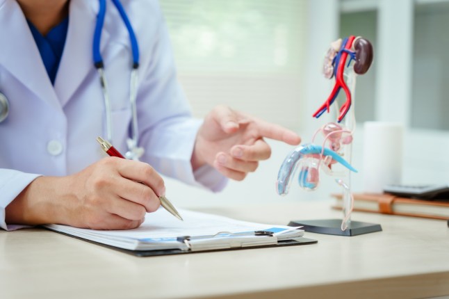 A male doctor sits at a desk in a hospital, discussing male urinary tract models and conditions like enlarged prostate, prostatitis, cystitis, urinary tract infections.Early diagnosis aids effective