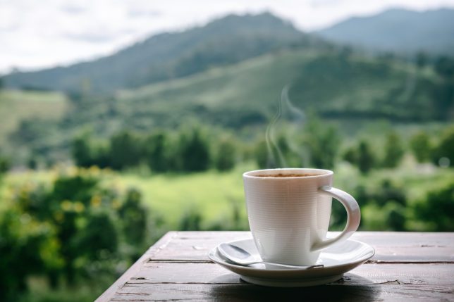 Close-Up of Coffee Cup on Table Against Landscape Scenery Mountain Hill Background.