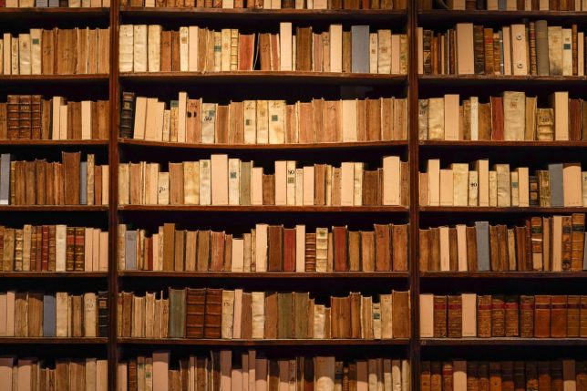 OXFORD, ENGLAND - AUGUST 25: Books sit on shelves in the Duke Humphrey???s Library at the Bodleian Libraries on August 25, 2020 in Oxford, England. The world famous libraries closed in mid-March due to the coronavirus pandemic. After putting in strict social distancing measures the Oxford University Libraries have partially opened for students and academics. A gradual reopening to the public, via online booking, begins on September 1. (Photo by Christopher Furlong/Getty Images)