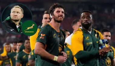 Nick Mallett reveals Tony Brown's theory on 'overstimulated' Springboks as Rassie Erasmus' team doesn't get 'worse'
