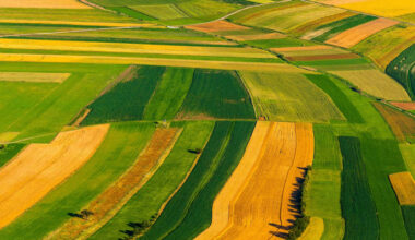 Birds-eye view of crop fields.