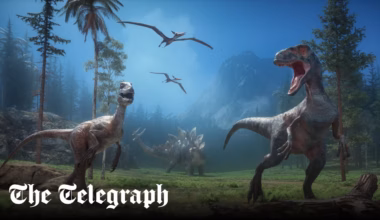 Jurassic forest sounds recreated by scientists