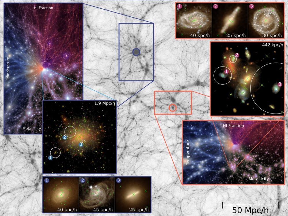 This visualization shows the ASTRID simulation at z=0, or the present. The black and white background image is dark matter density. The blue zoom-in box shows the most massive dark matter halo in ASTRID. The red zoom-in box shows the region around a dark matter halo, with the red circle showing a star-forming halo. Image Credit: ASTRID/Zhou et al. 2026. ApJ.