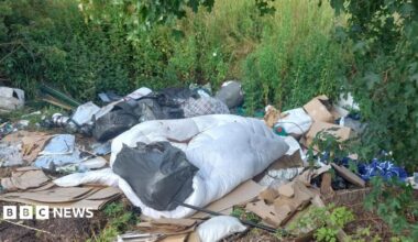 Fly-tipped items left near bushes and nettles, including cardboard, black rubbish bins, a white duvet and other bags and detritus.