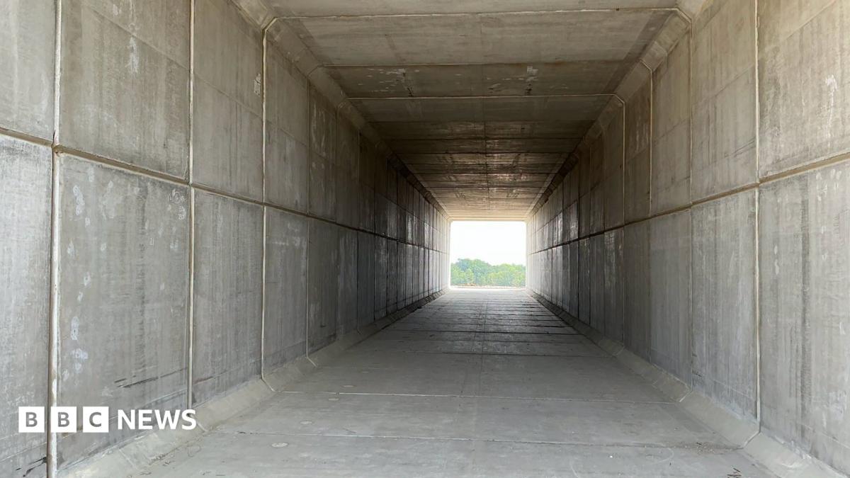 A long concrete tunnel with the opening at the far end leading towards a field and trees.