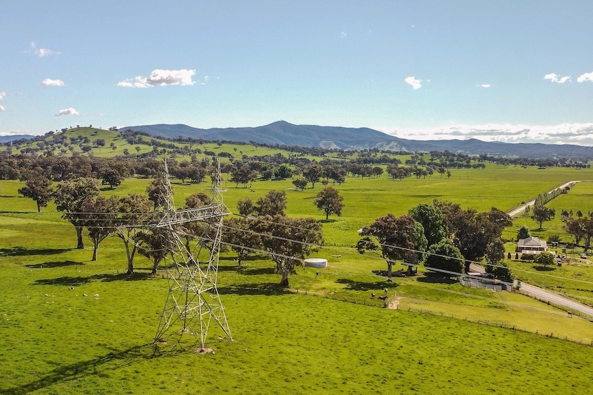 Powerlines running through fields dotted with trees, and small mountains in the background.
