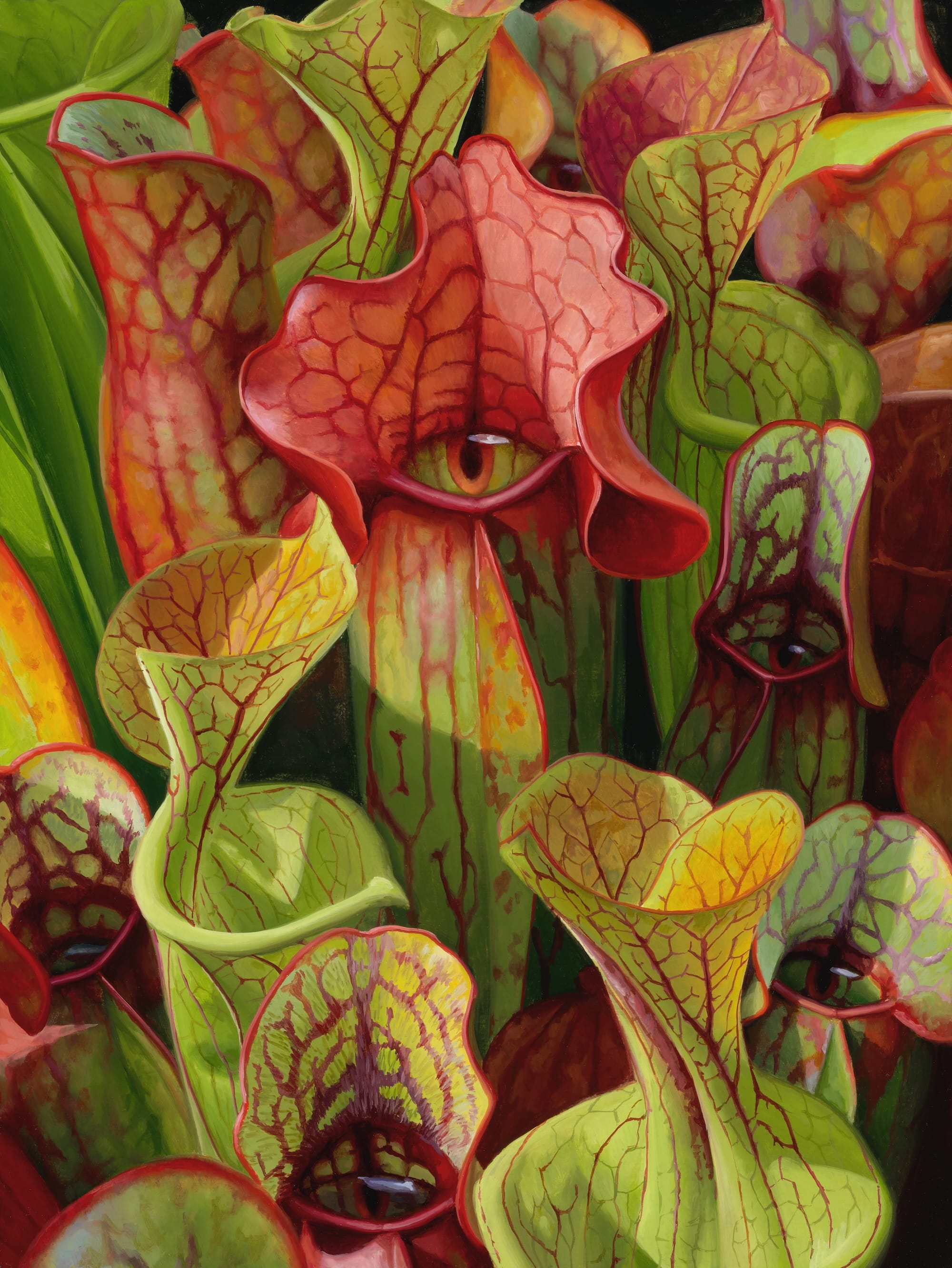 a fantastical painting of an array of tropical flowers, with eyes in their centers