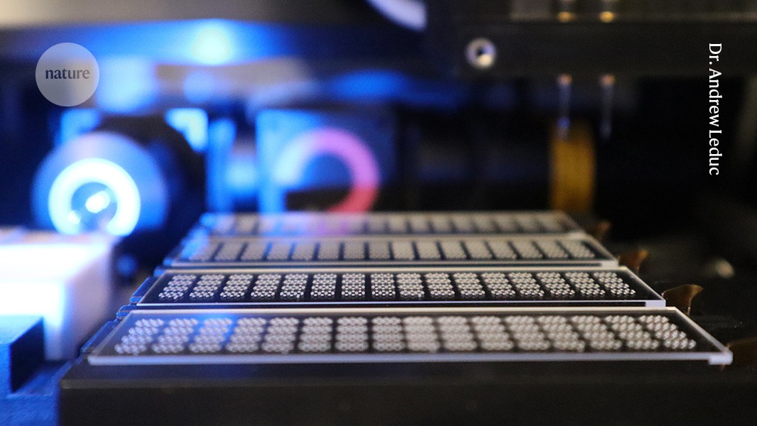 Probing the proteome at cellular scale