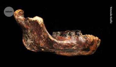Who were the Denisovans? Rich trove of fossils and tools paints new picture