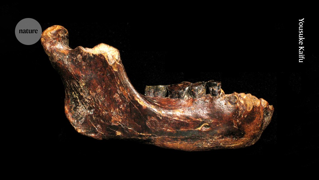 Who were the Denisovans? Rich trove of fossils and tools paints new picture