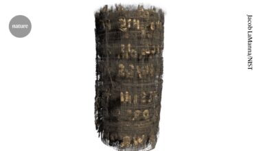 Watch scientists decipher burnt scrolls without unrolling them