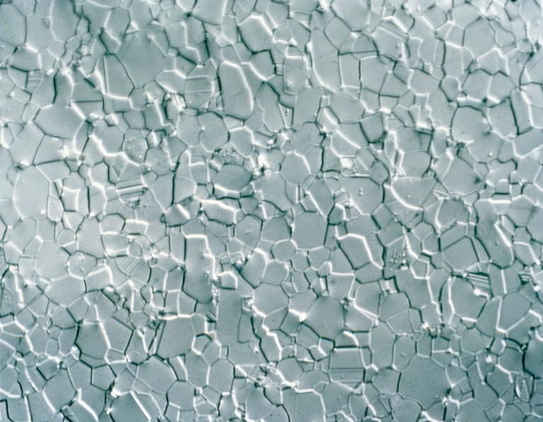 A microscopy image showing the crystaline structure of boron carbide.