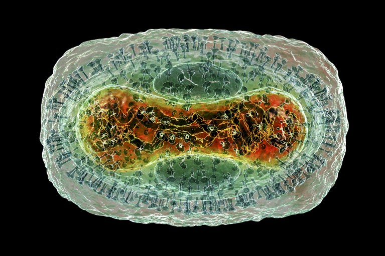 Illustration of a monkeypox virus particle on a black background.