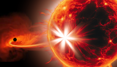 Why do black hole flares die out? It may be down to how stars spin