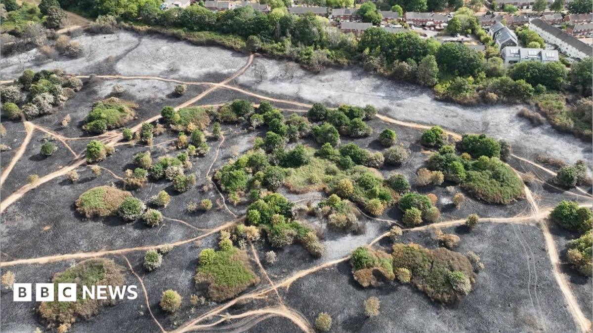 Black and grey areas of parkland with some surviving trees and bushes