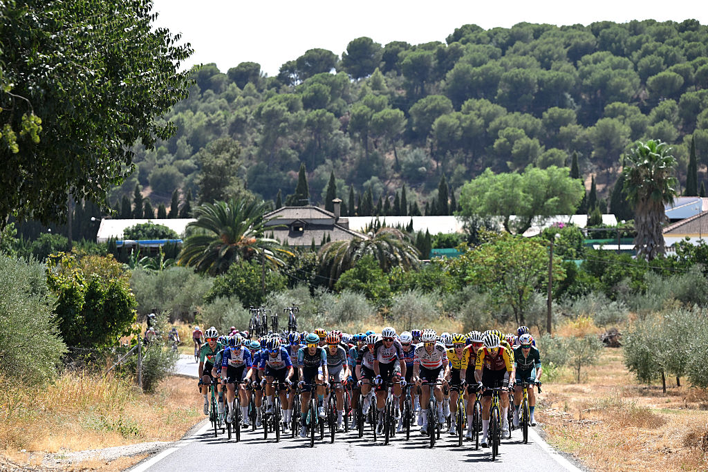 CORDOBA, SPAIN - SEPTEMBER 06: A general view of the peloton competing during the La Vuelta - 81st Tour of Spain 2026, Stage 15 a 110.2km stage from Palma del Rio to Cordoba / #UCIWT / Stage shortened due to extreme temperature weather alert / on September 06, 2026 in Cordoba, Spain. (Photo by Tim de Waele/Getty Images)