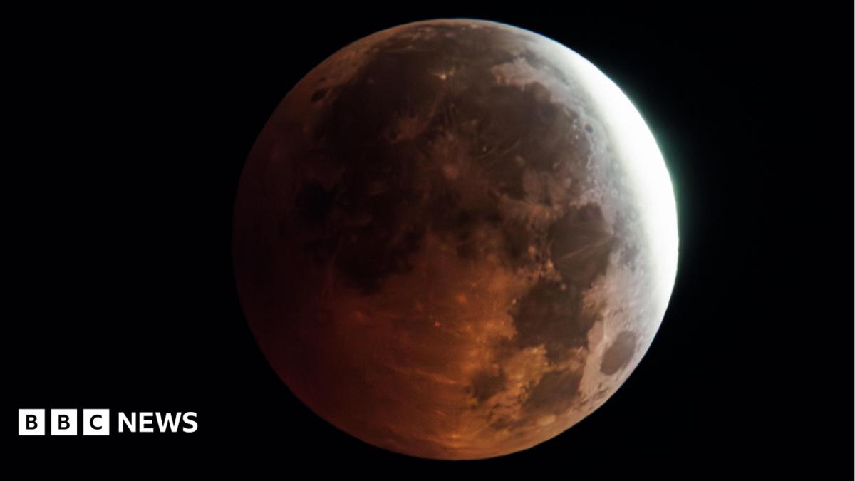 The image shows a clear shot of a full moon during a lunar eclipse with an empty sky behind it.
