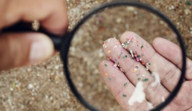 Global Microplastics Regulations: How Governments Are Rewriting the Rulebook to Curb Plastic Pollution at Its Source