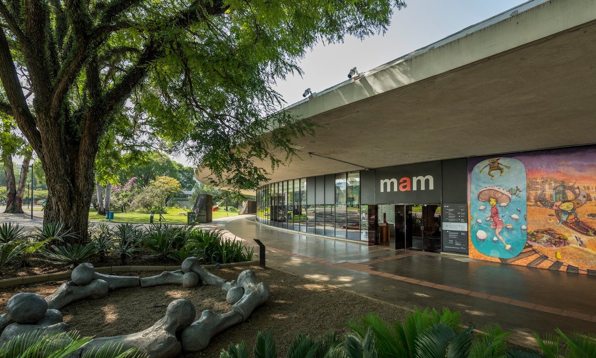São Paulo’s Museu de Arte Moderna reopens after two-year renovation - The Art Newspaper