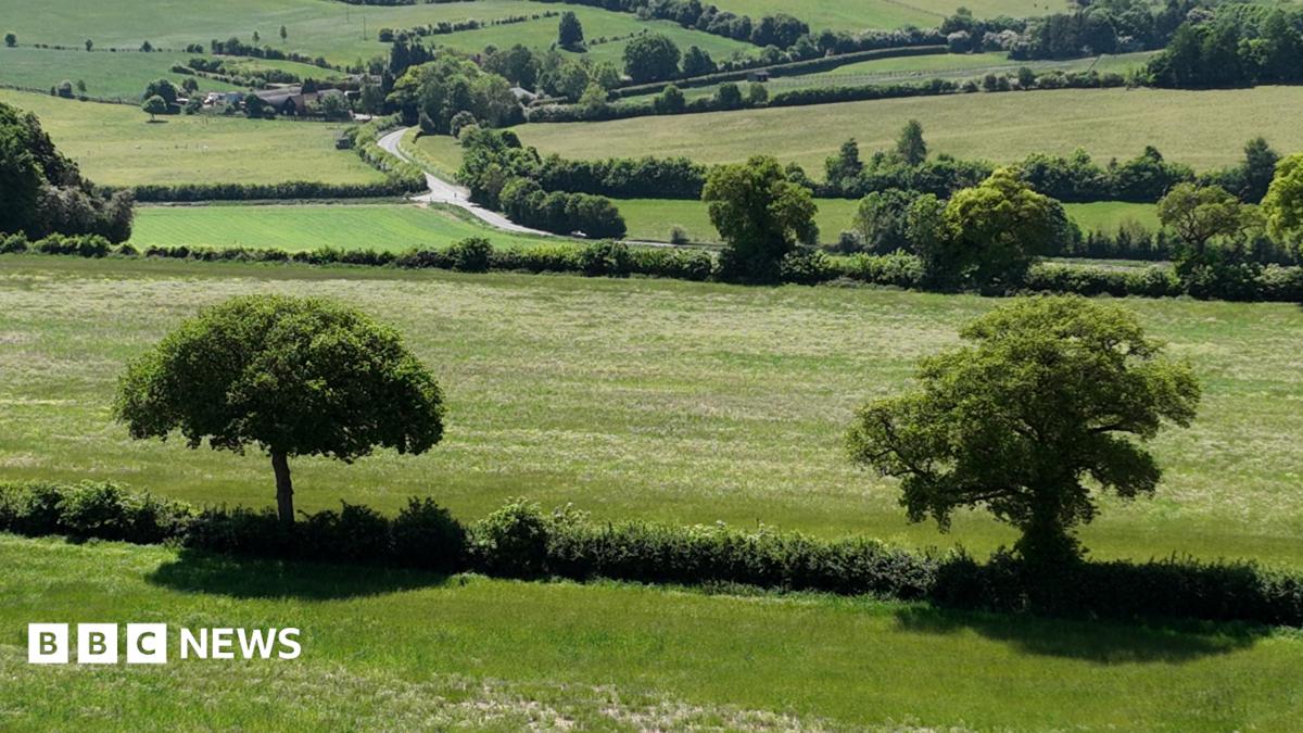 A large farmland, with lots of trees in it, with bushes and hedges. There is also a road running through it and houses in a valley below.