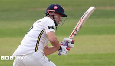 Leicestershire v Somerset