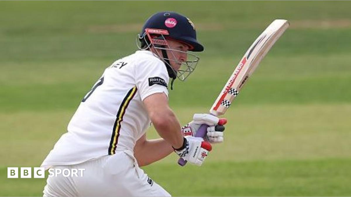 Leicestershire v Somerset