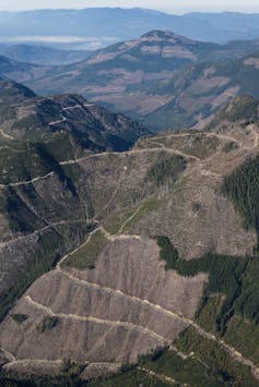 a mountain landscape with large areas cleared of trees