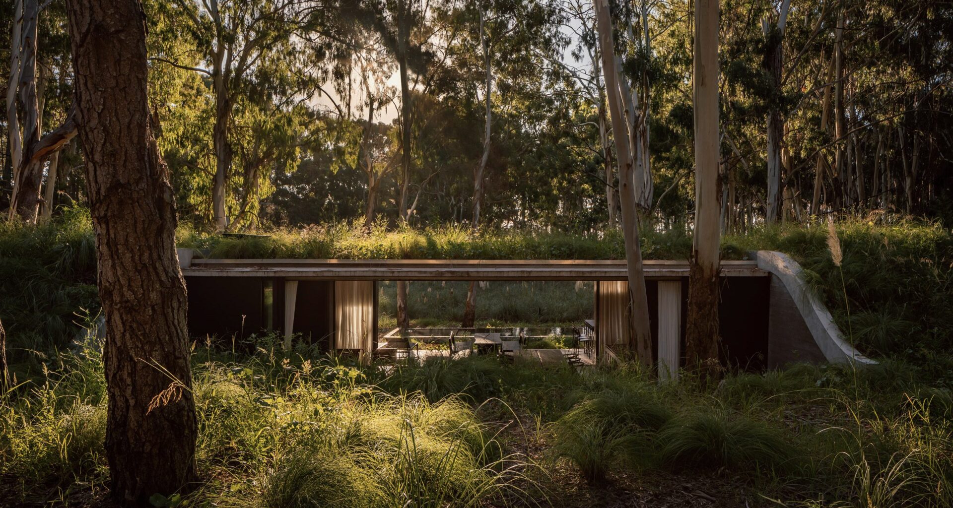 Eight green-roofed homes that sprout from their surroundings
