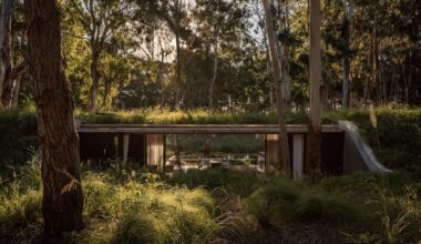 Eight green-roofed homes that sprout from their surroundings
