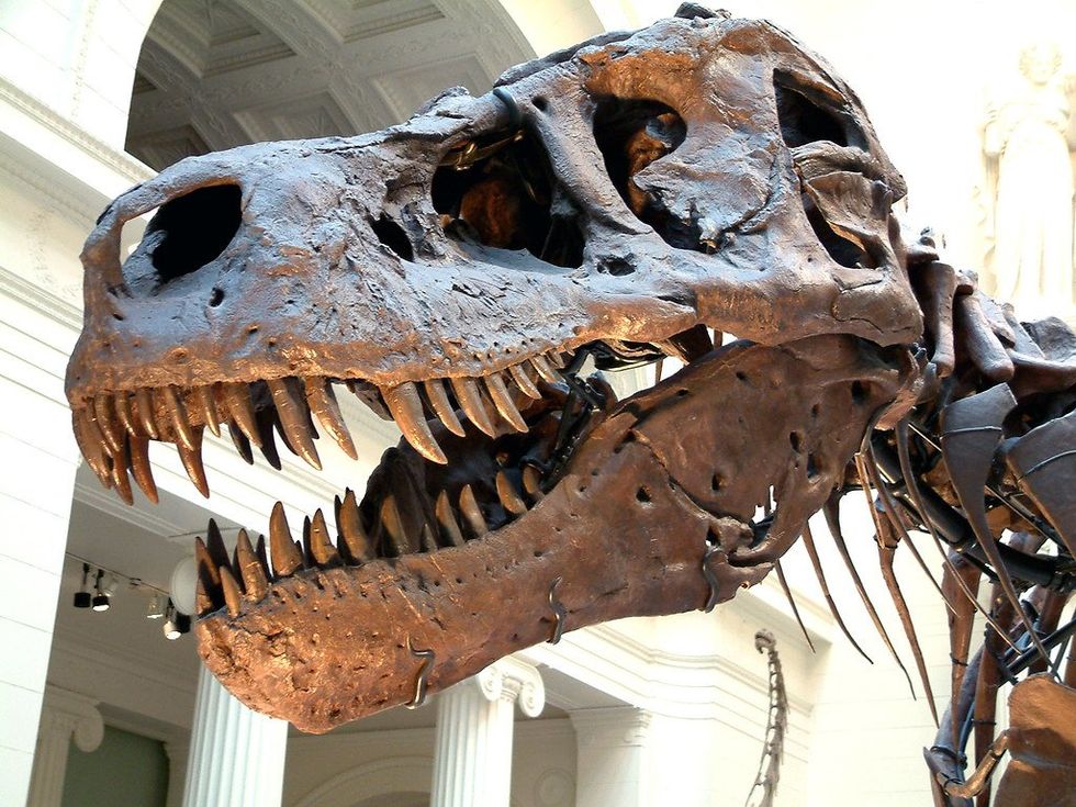 Fossil