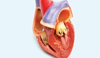 g0fctj heart failure index