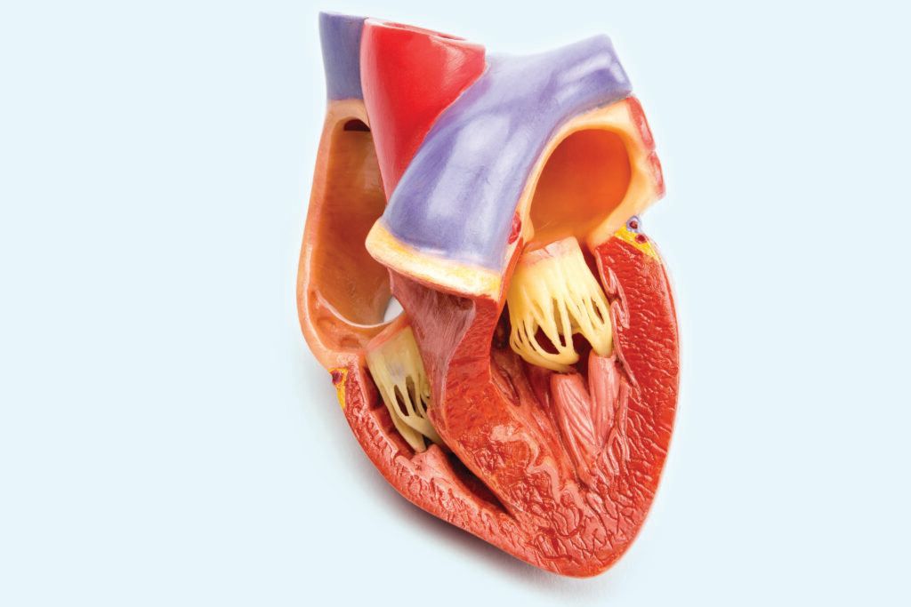 g0fctj heart failure index