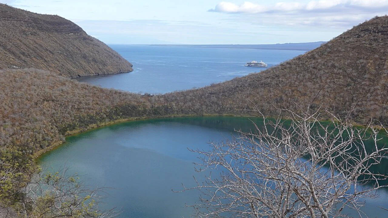 Galápagos