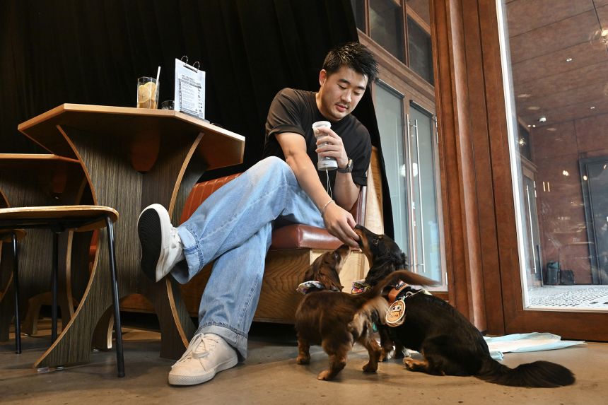 A man dining by himself feeds a dog inside a restaurant in Hong Kong, China, on July 9.