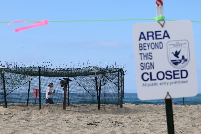 Two Orange County beaches have sections blocked from the public after a rare species of sea turtle was spotted laying and burying eggs.