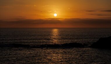 Global oceans report delivers ‘starkest warning yet’