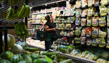 Global Food Prices Climb 1.9% in August as Sugar, Wheat and Maize Surge on Weather and Trade Risks