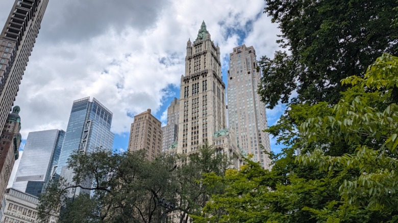 Buildings and greenery in downtown Manhattan