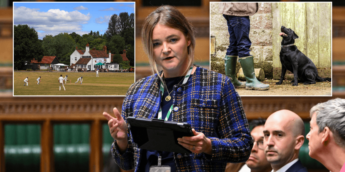 Labour minister claims the idea of Britain's pubs, warm ale and black labradors is a 'far-right fantasy that never existed'