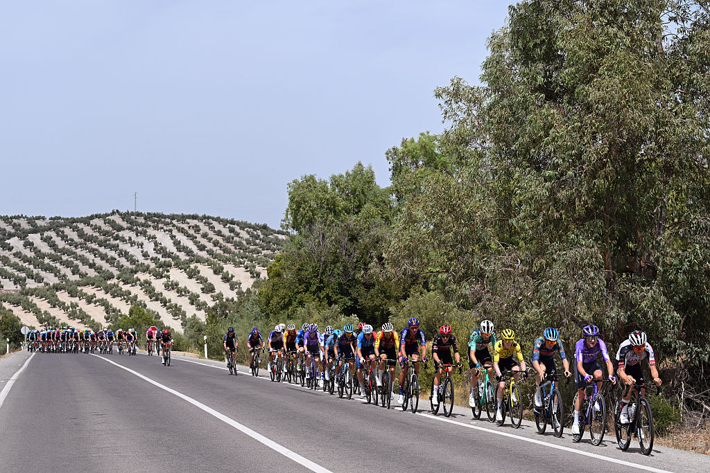 A general view of the peloton on stage 14