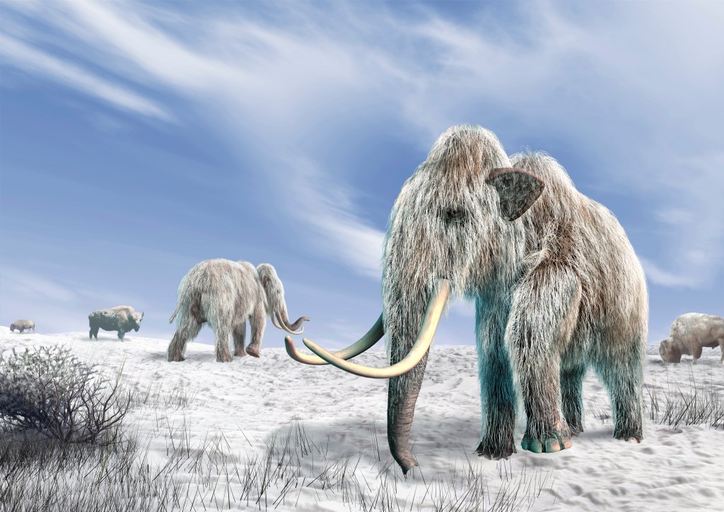 Illustration of woolly mammoths and bison in a snow-covered field.