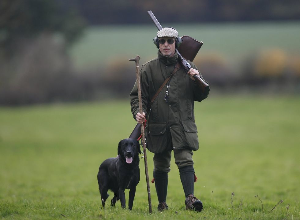 Man with hunting dog in British countryside