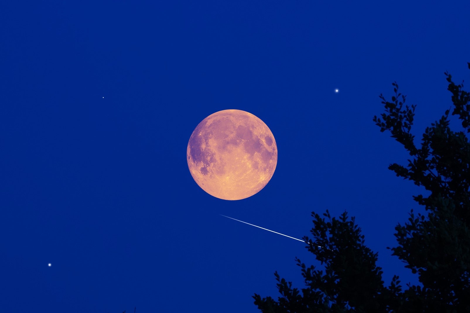 The annual Leonid meteor shower and November supermoon